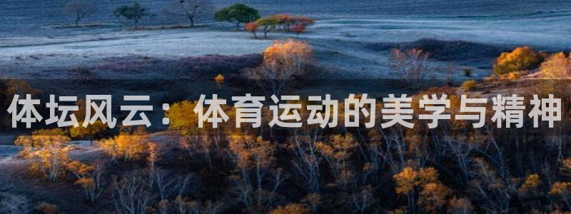 德国欧亿体育官方正版app集团:体坛风云:体育运动的美学与精