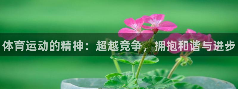 欧亿体育官方正版app官网:体育运动的精神:超越竞争,拥抱和