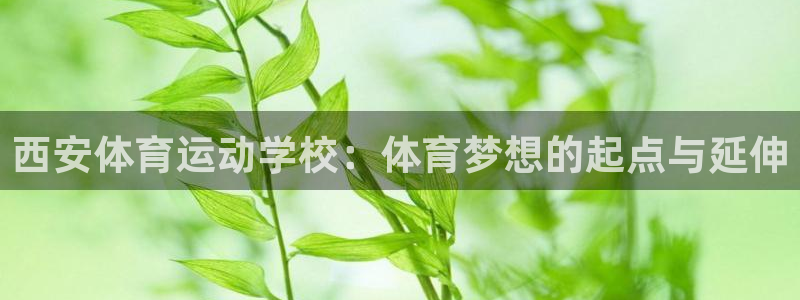 欧亿体育官方正版app新能源:西安体育运动学校:体育梦想的起