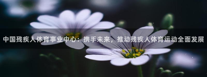 海南oety欧亿体育官网下载发展怎么样:中国残疾人体育事业中